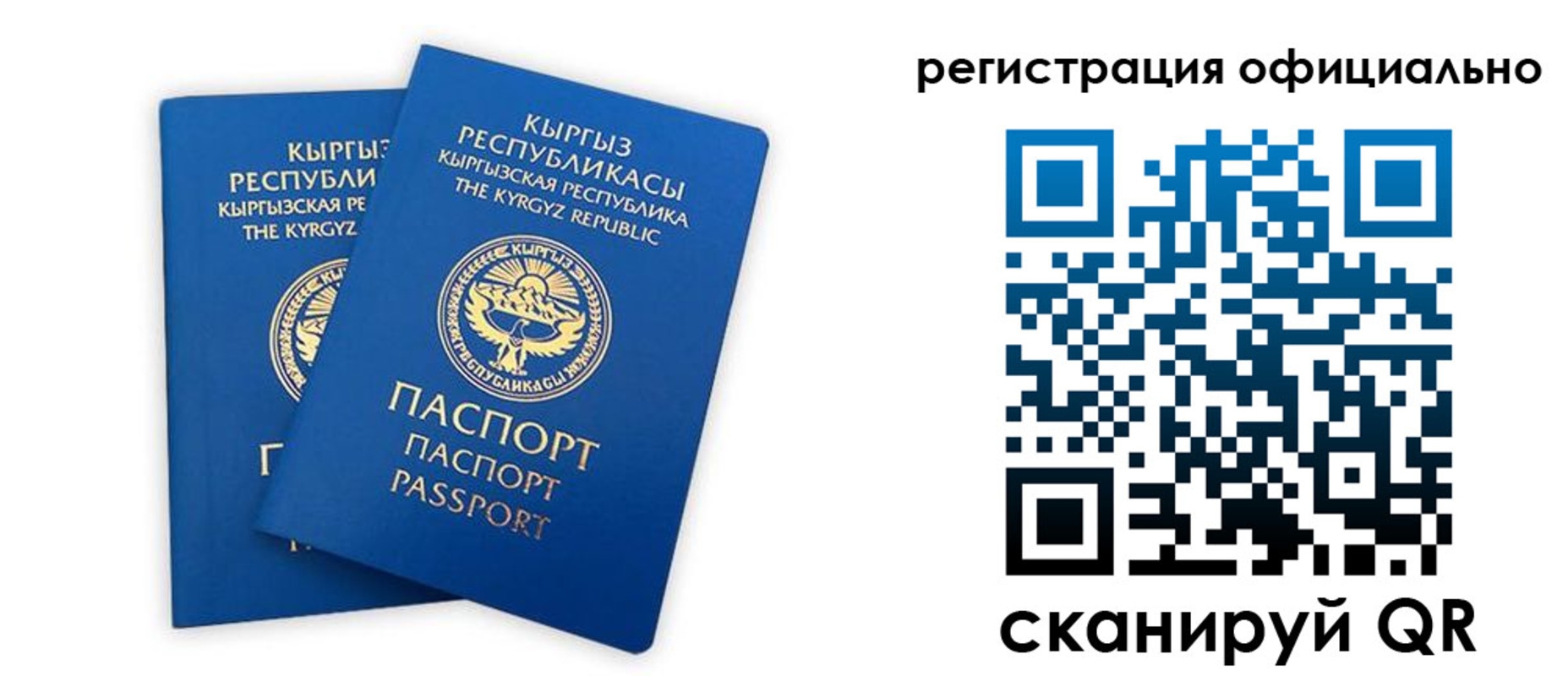 прописка поиск в Смоленской области